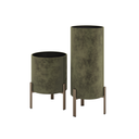 POLLUX